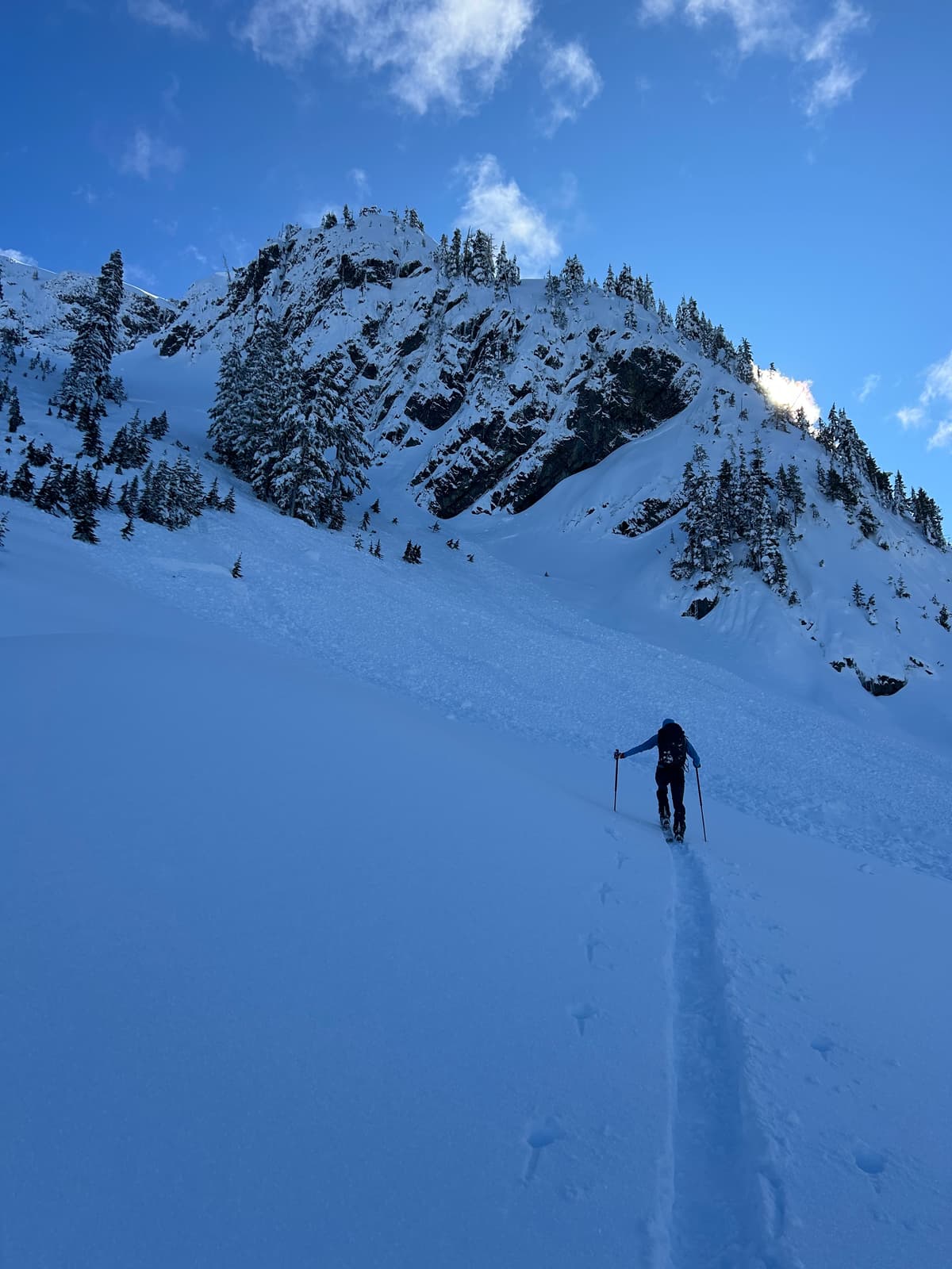Debris from this slide continued another 150m or so downslope