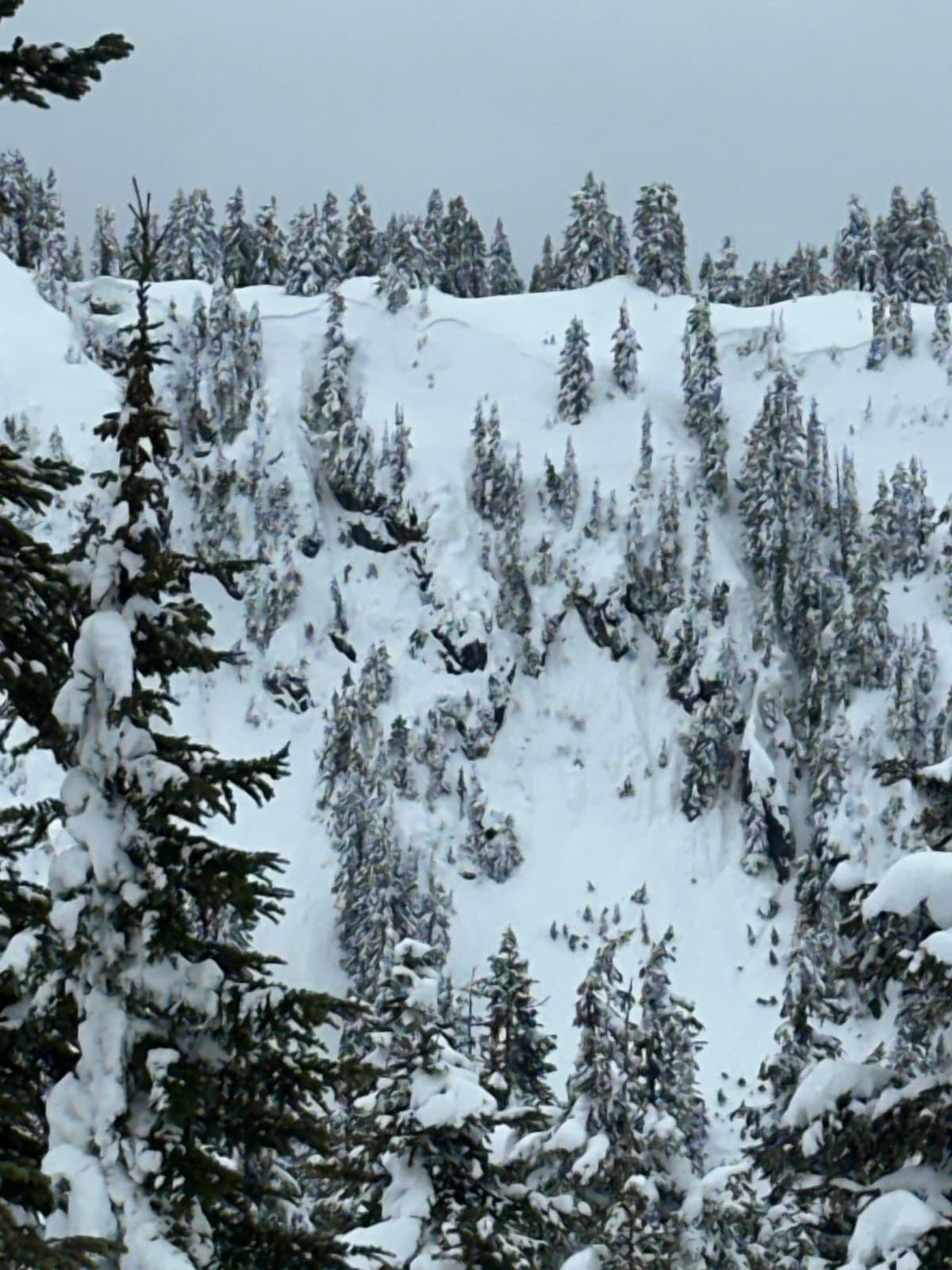 Crowns stretched around pretty much entire ridge top and every cliff band