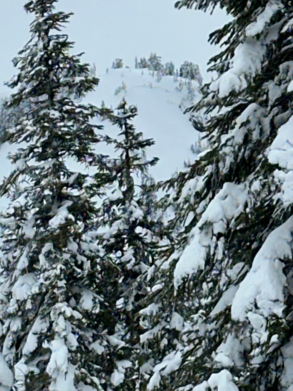 Large crown just off NE side of Anif summit with rapid reloading with wind transport.