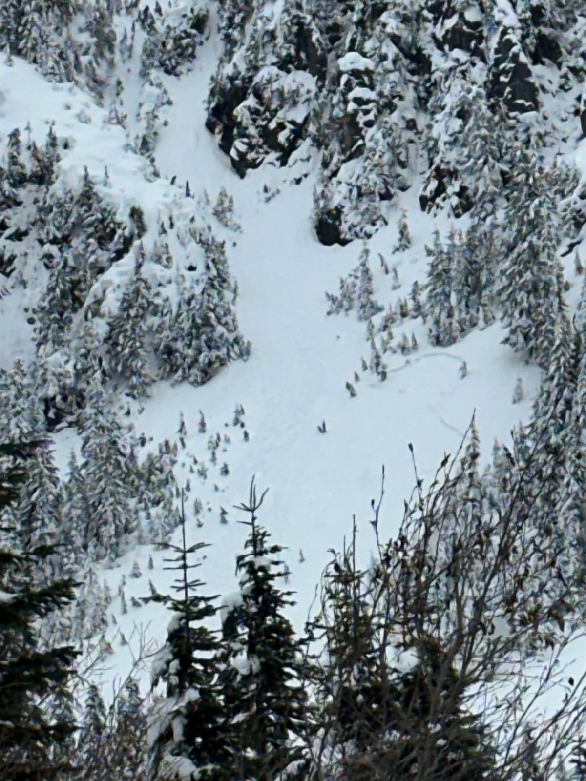 Large/wide crown lower down on the slope than we expected to ~1100m NE asp