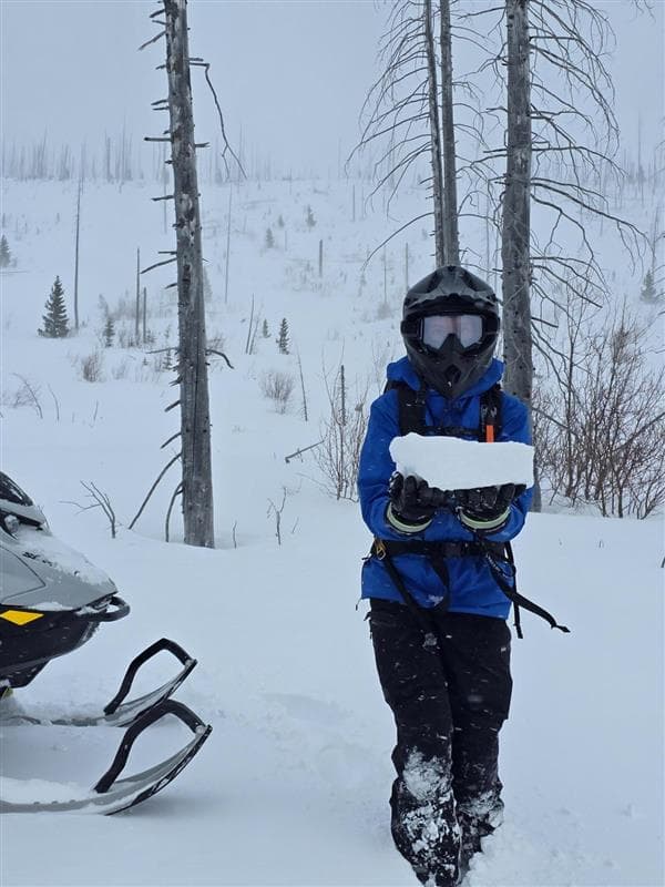 The wind is actively building slabs in the treeline and alpine