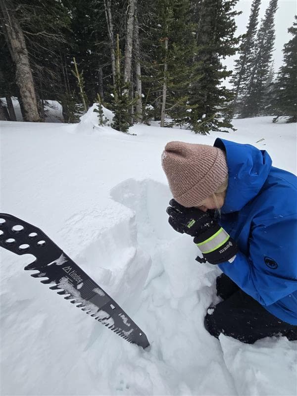 We found small facets on a crust down 50 cm on southerly aspects