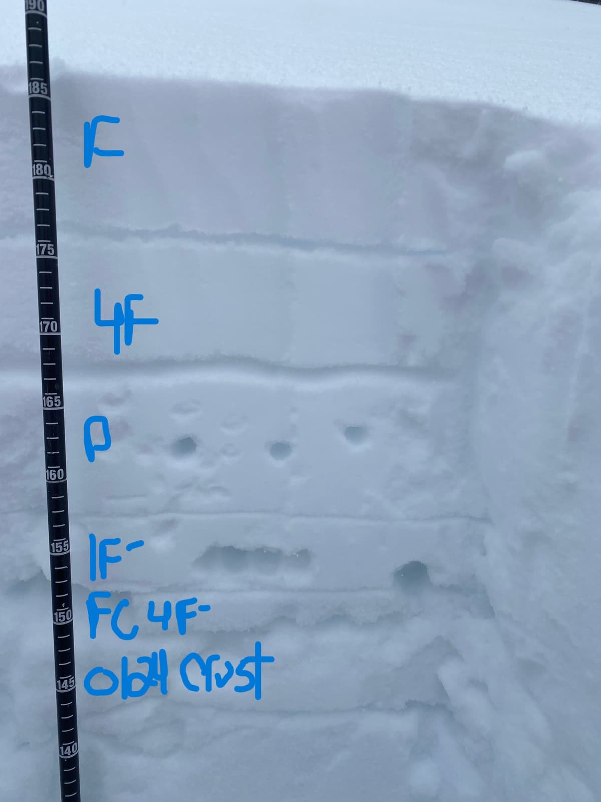 2400m S aspect 35 degrees - a variable slab with some really stiff snow in it sitting on Facets above the Jan 24 crust