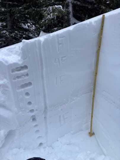 Storm snow in sheltered areas overlies a persistent weak layer