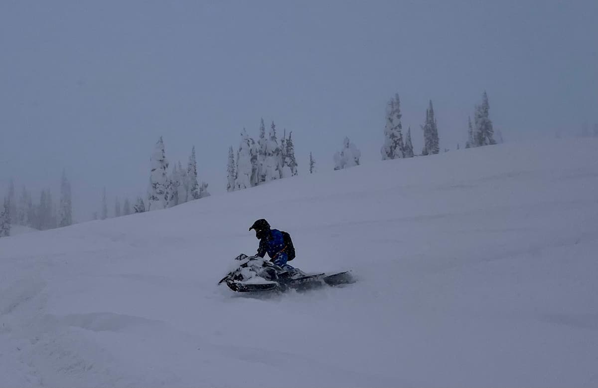 50 to 60 cm of blower everywhere.