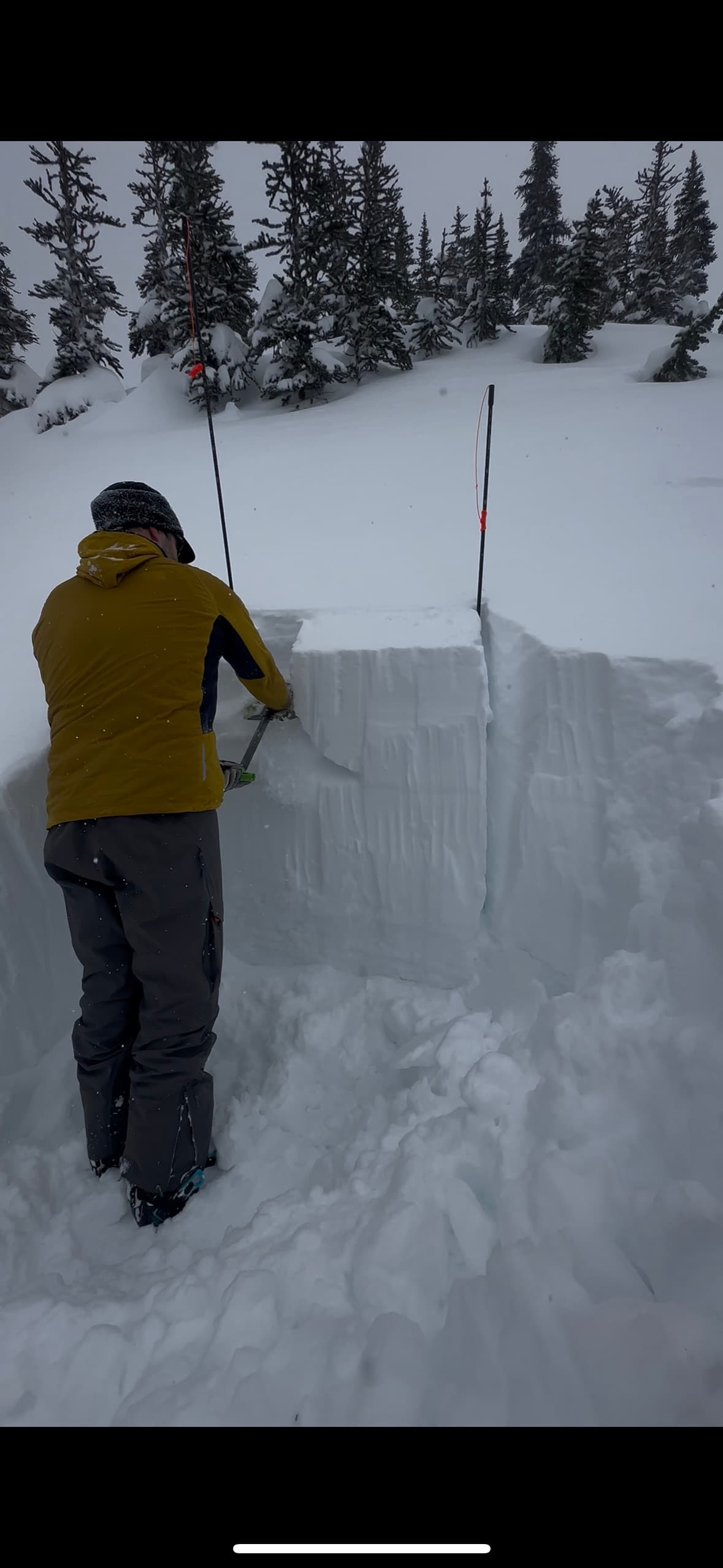 Extended column test failing on the Jan 26th crust down 1 meter.