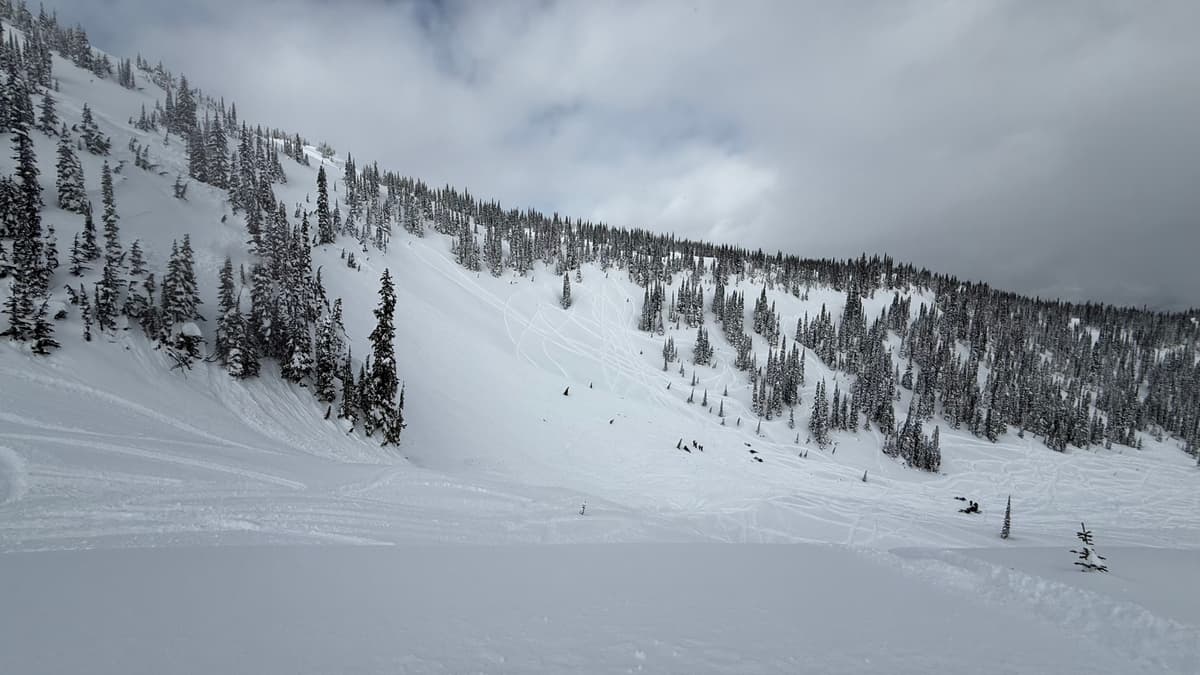 Side view of the avalanche, started high left in the trees. 