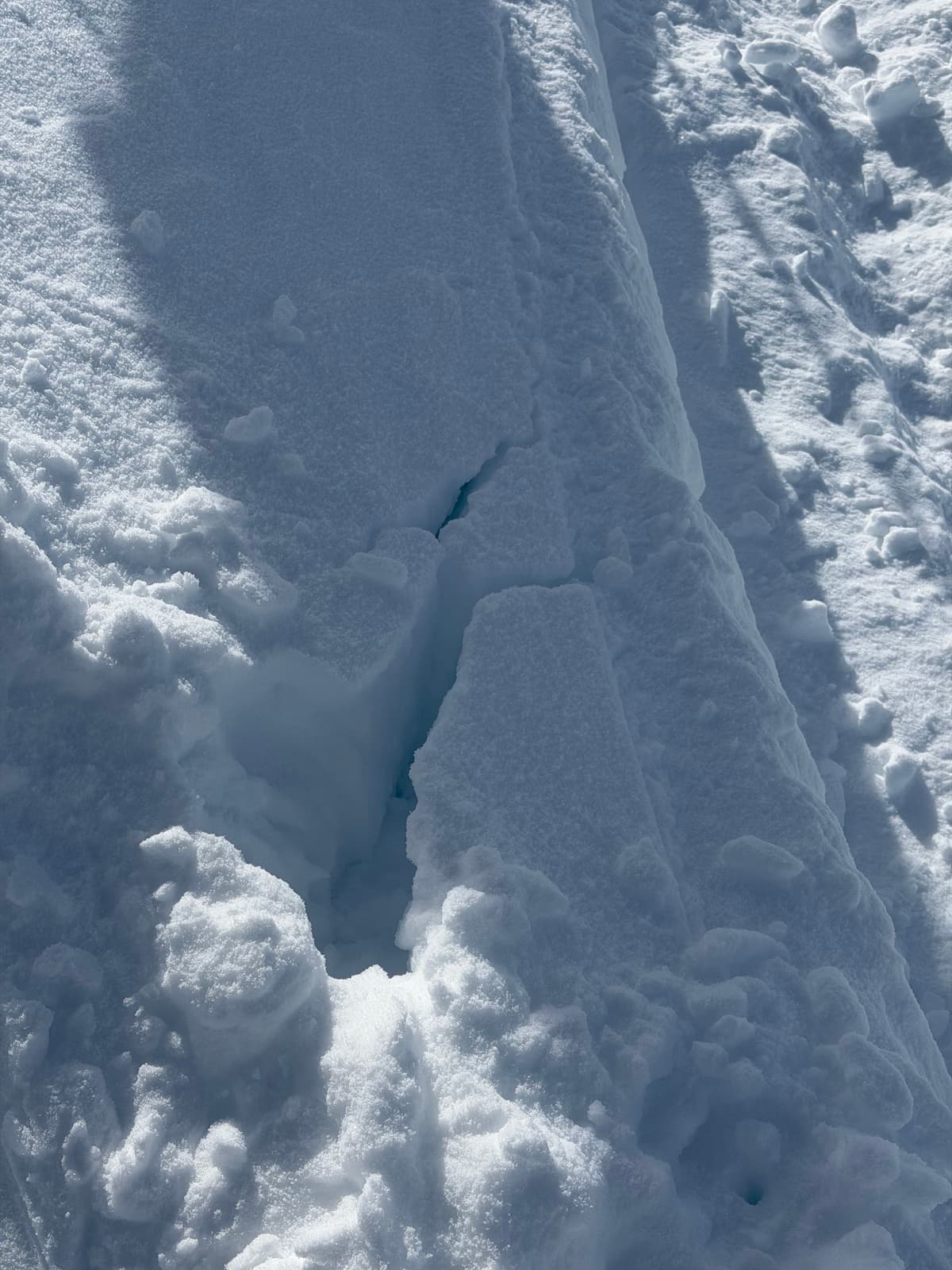 Snow was reactive to ski stomping 1554 m, NW aspect