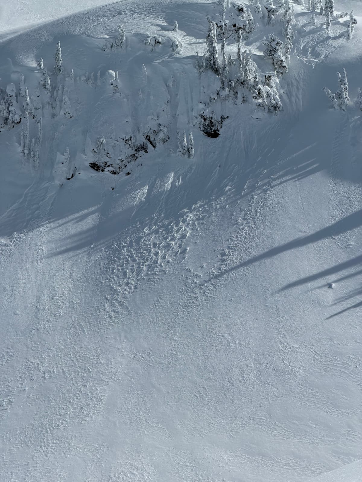 west side of Gin peak, 1700 m