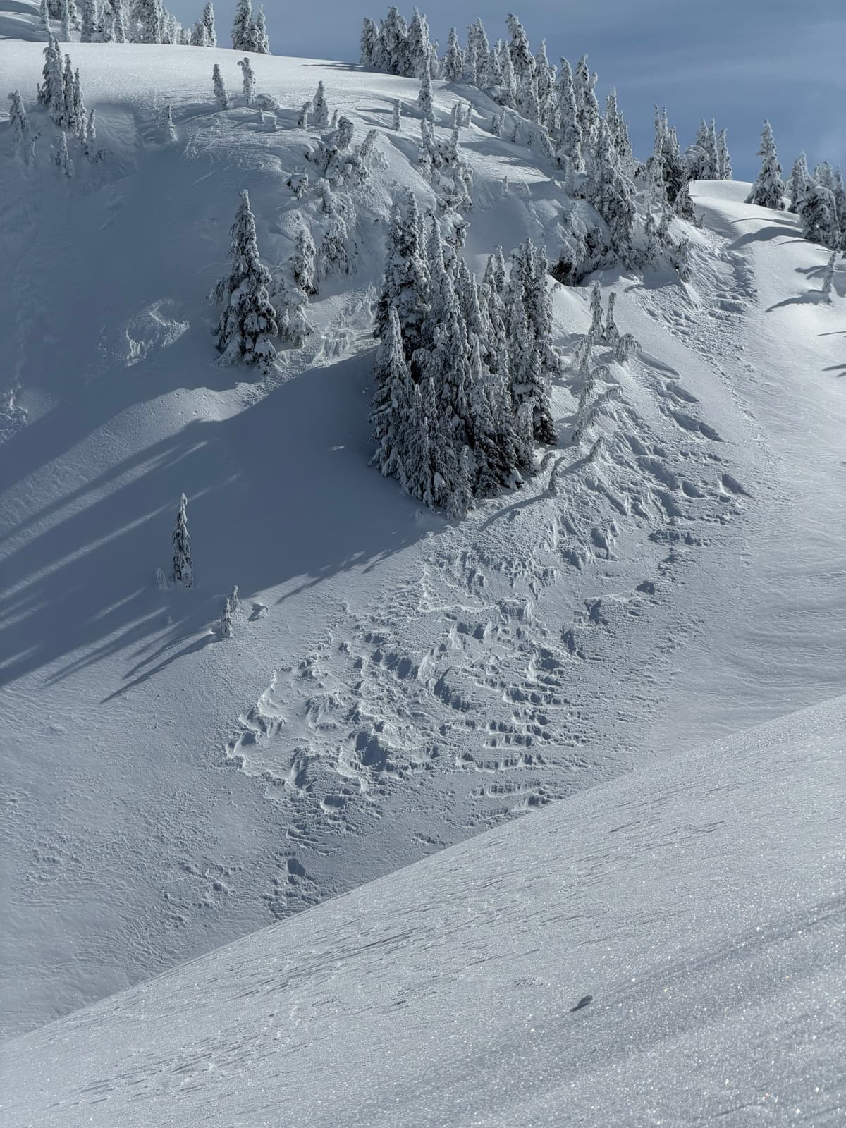 West side of Gin peak, 1700 m