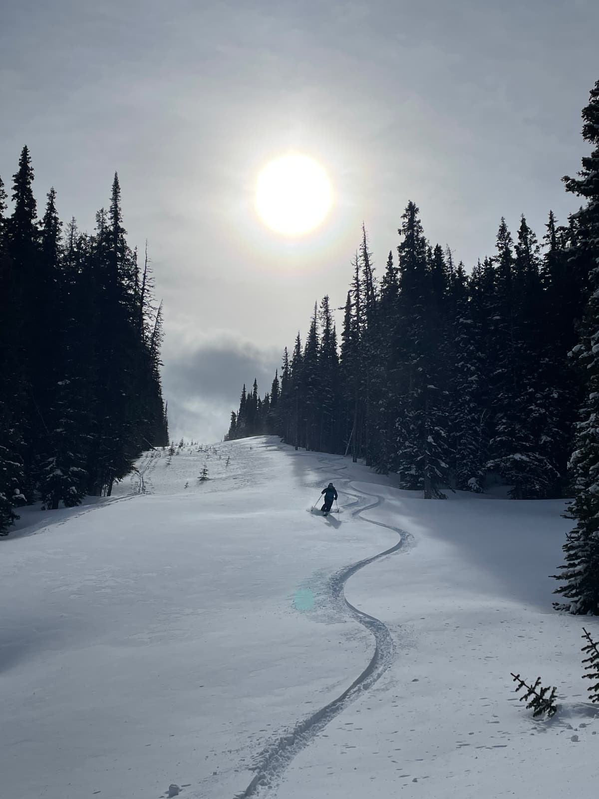 40 cm above the crust, tapering down to zero where the wind eroded it. 