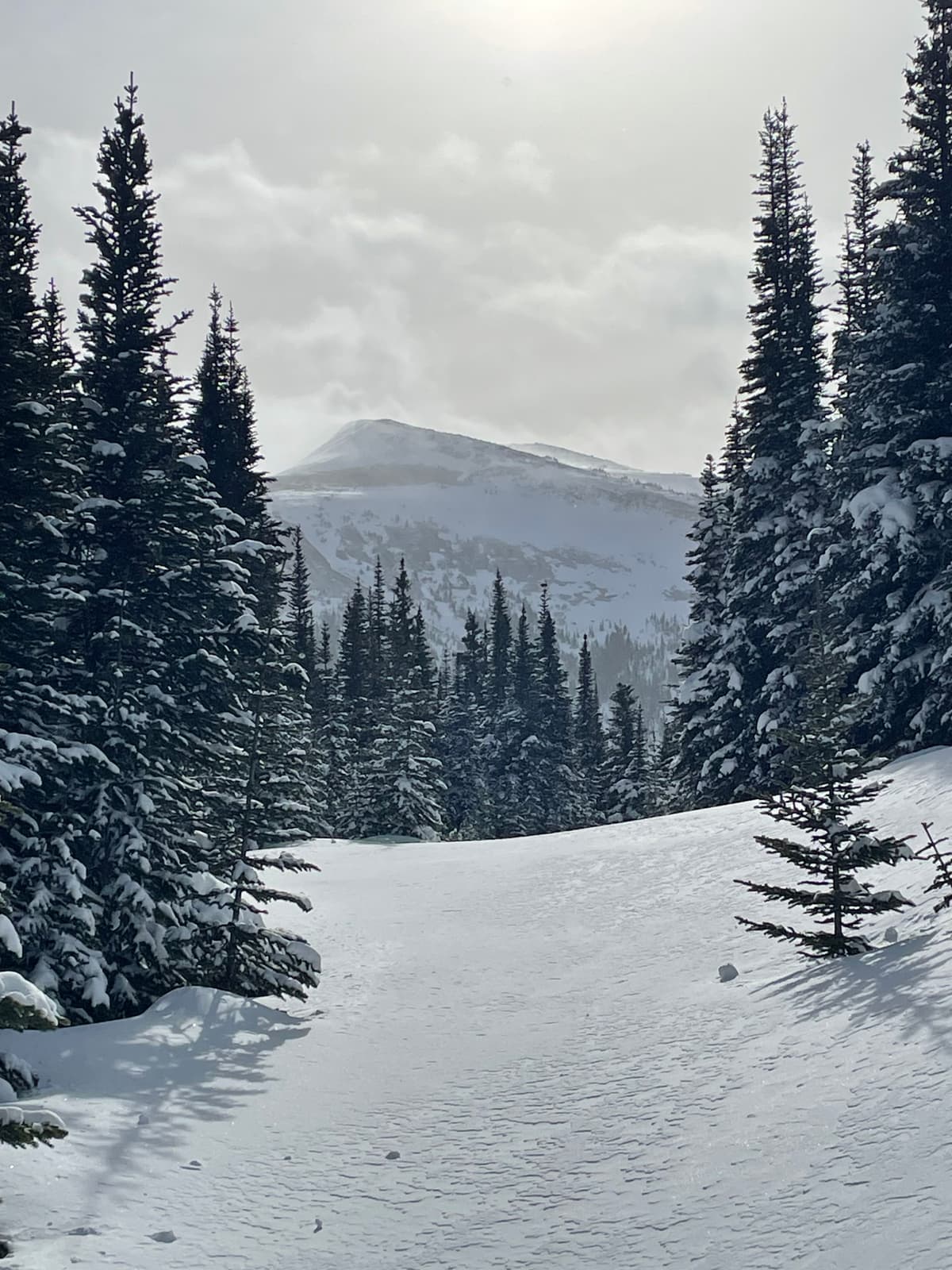 Lots of snow blowing in the alpine