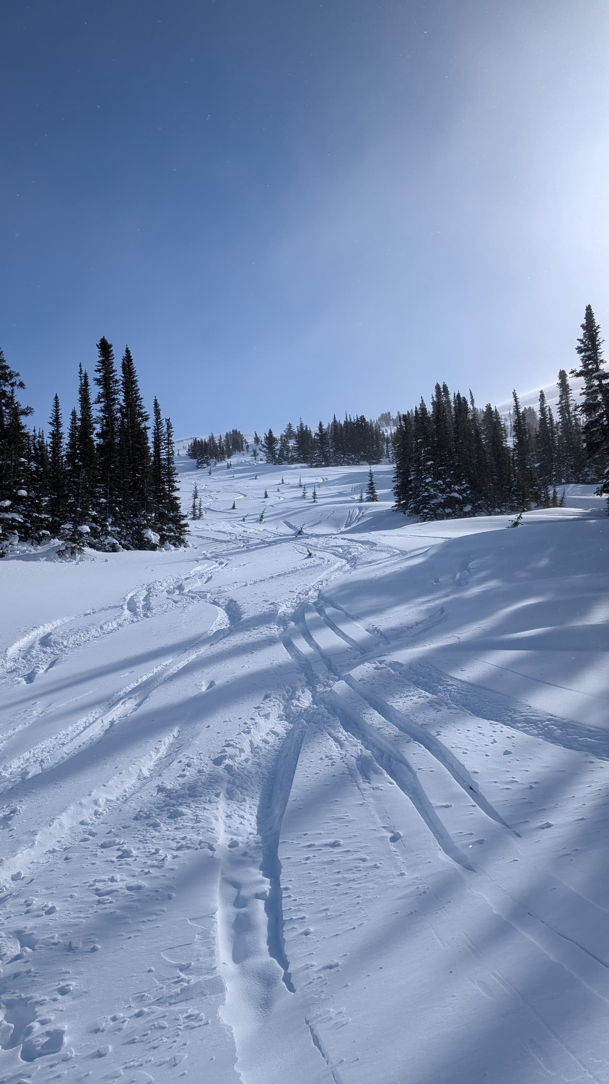Soft below treeline