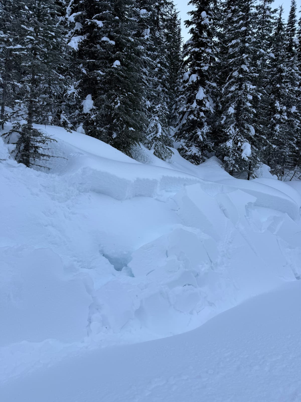 Sympathetic releases from snowmobiles along the road cut at 1700 m.