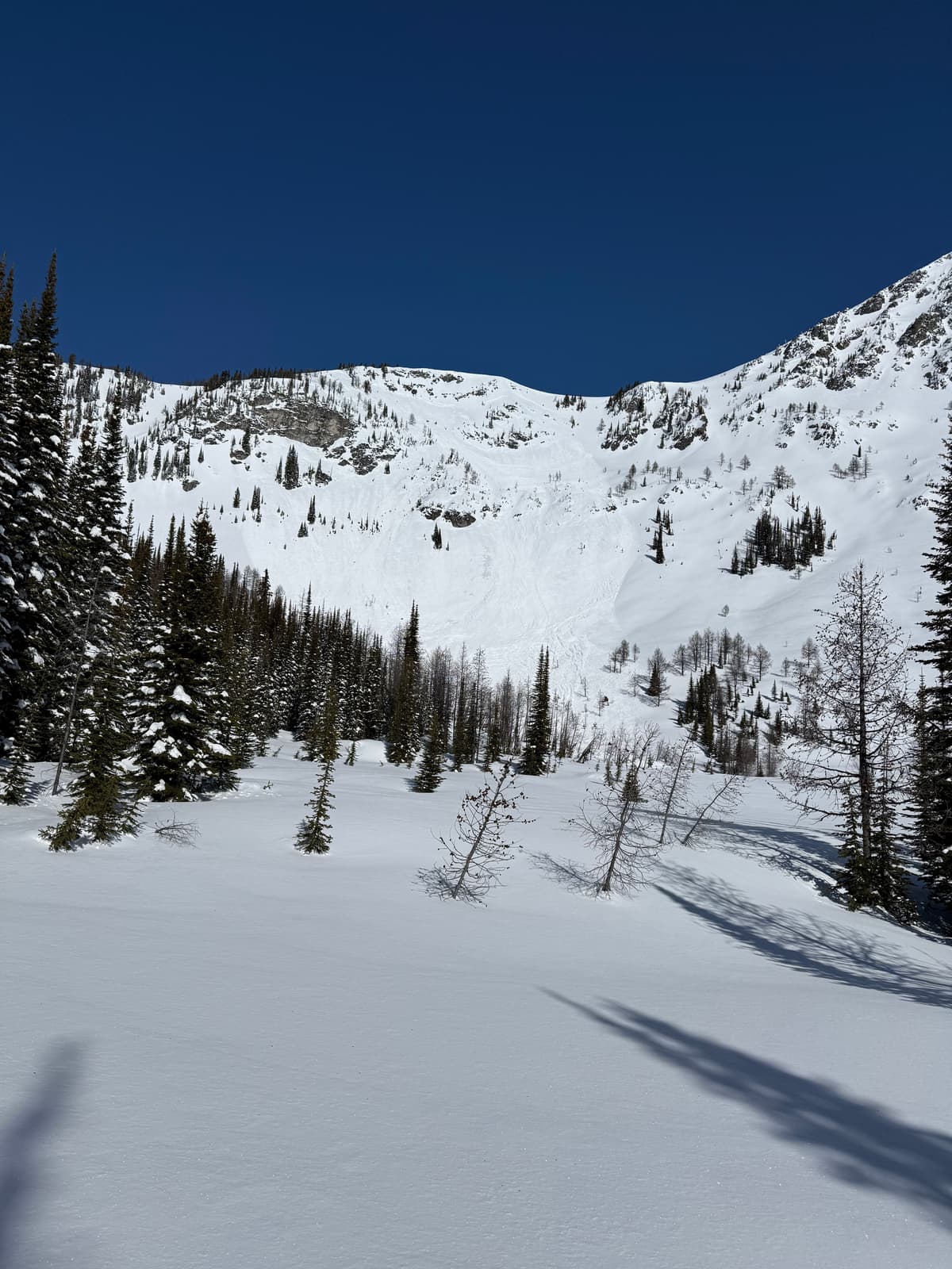 Zoomed out view of the natural