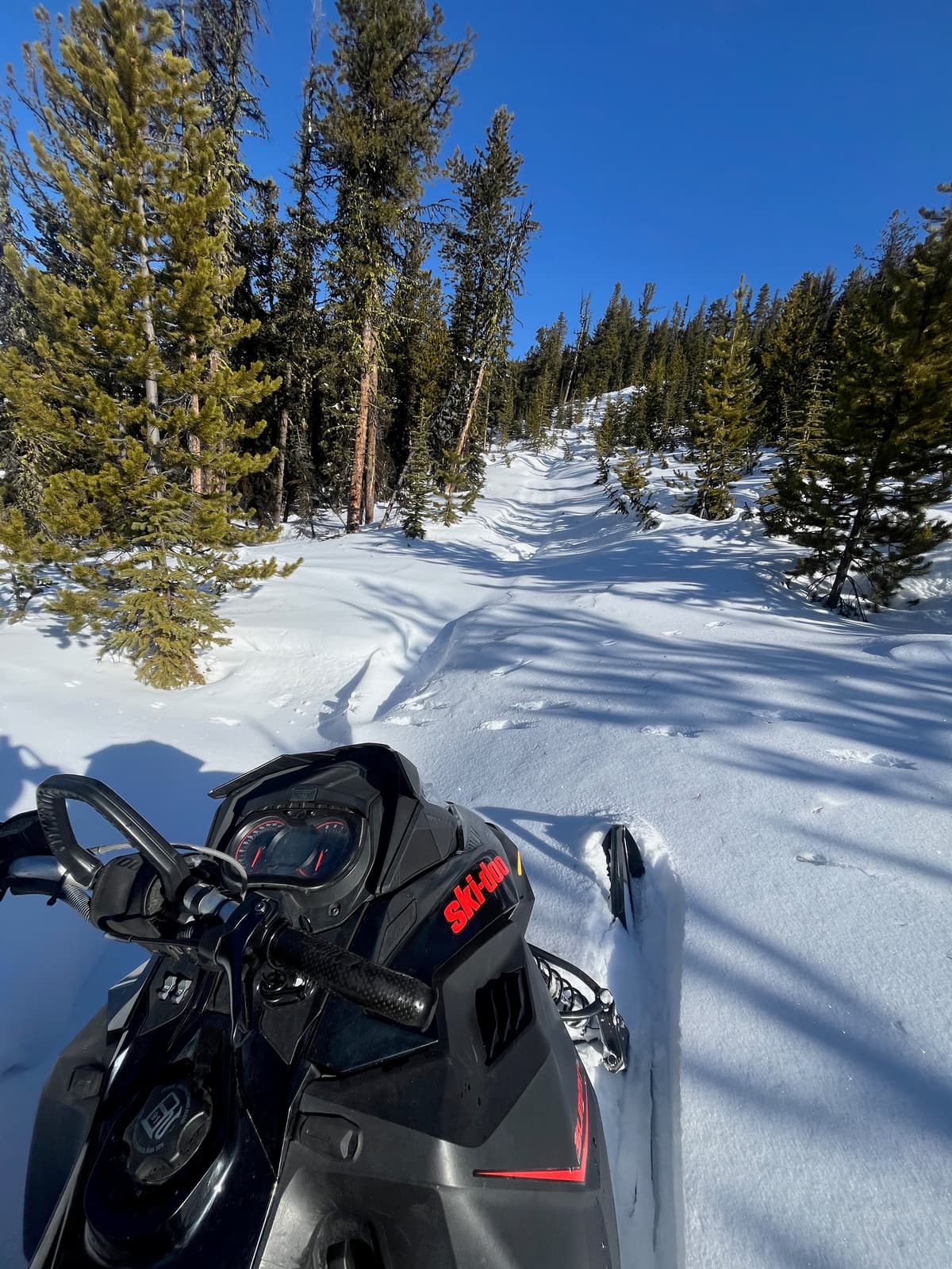 Trails were drifted in