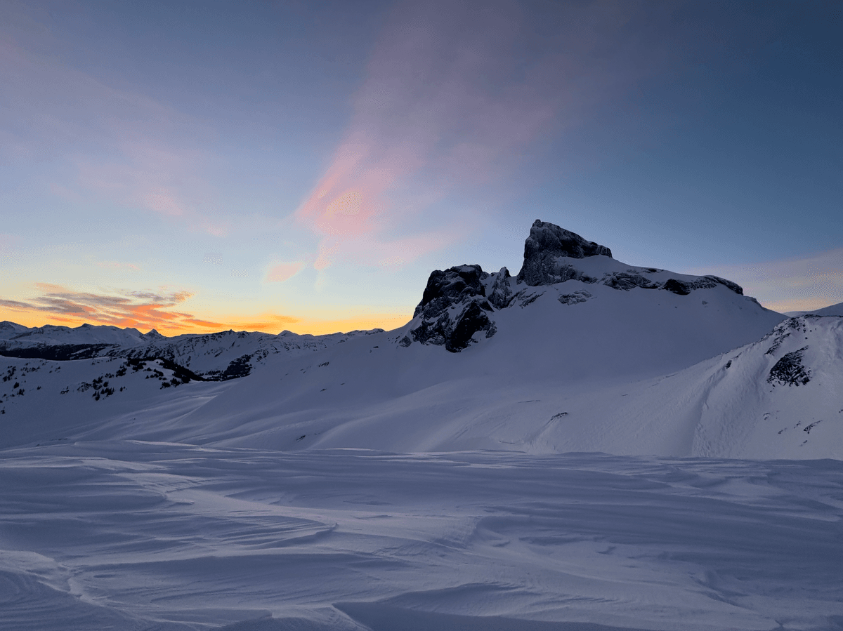 beautiful morning looking at the tusk