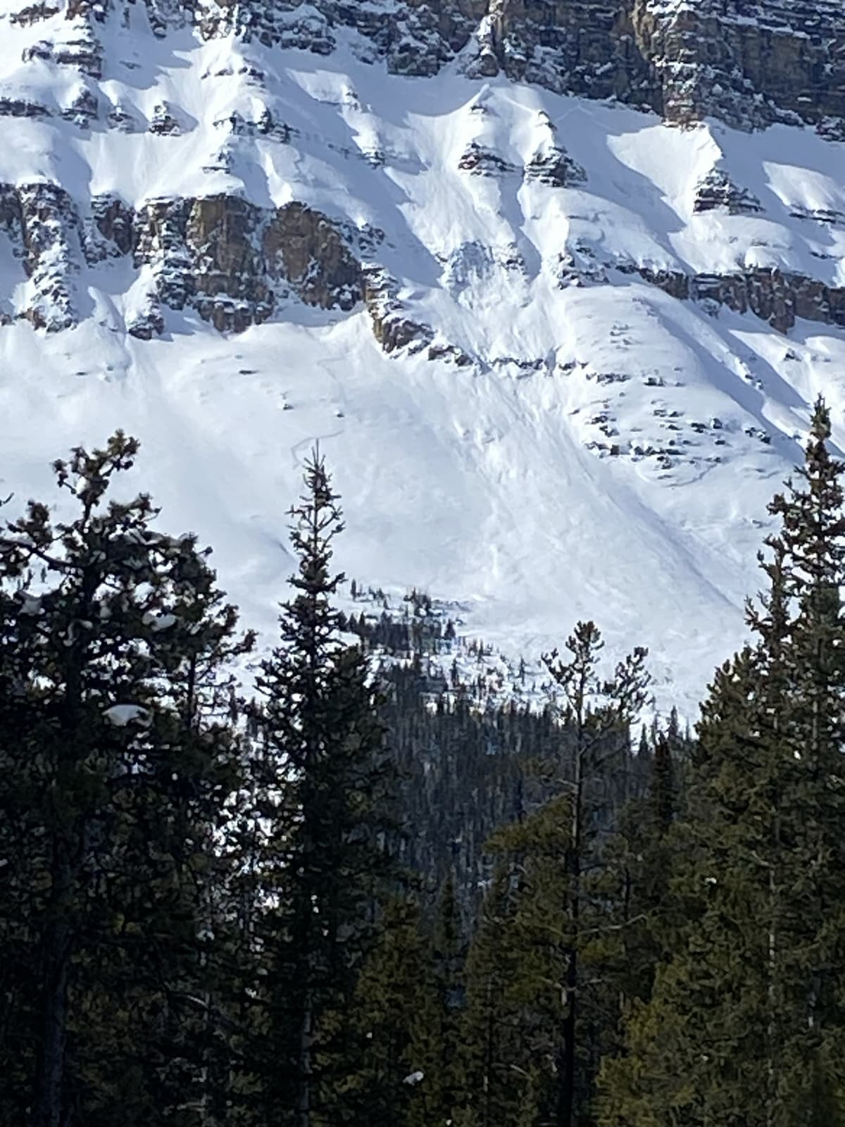 Bow Peak South sz 3 2600m NE