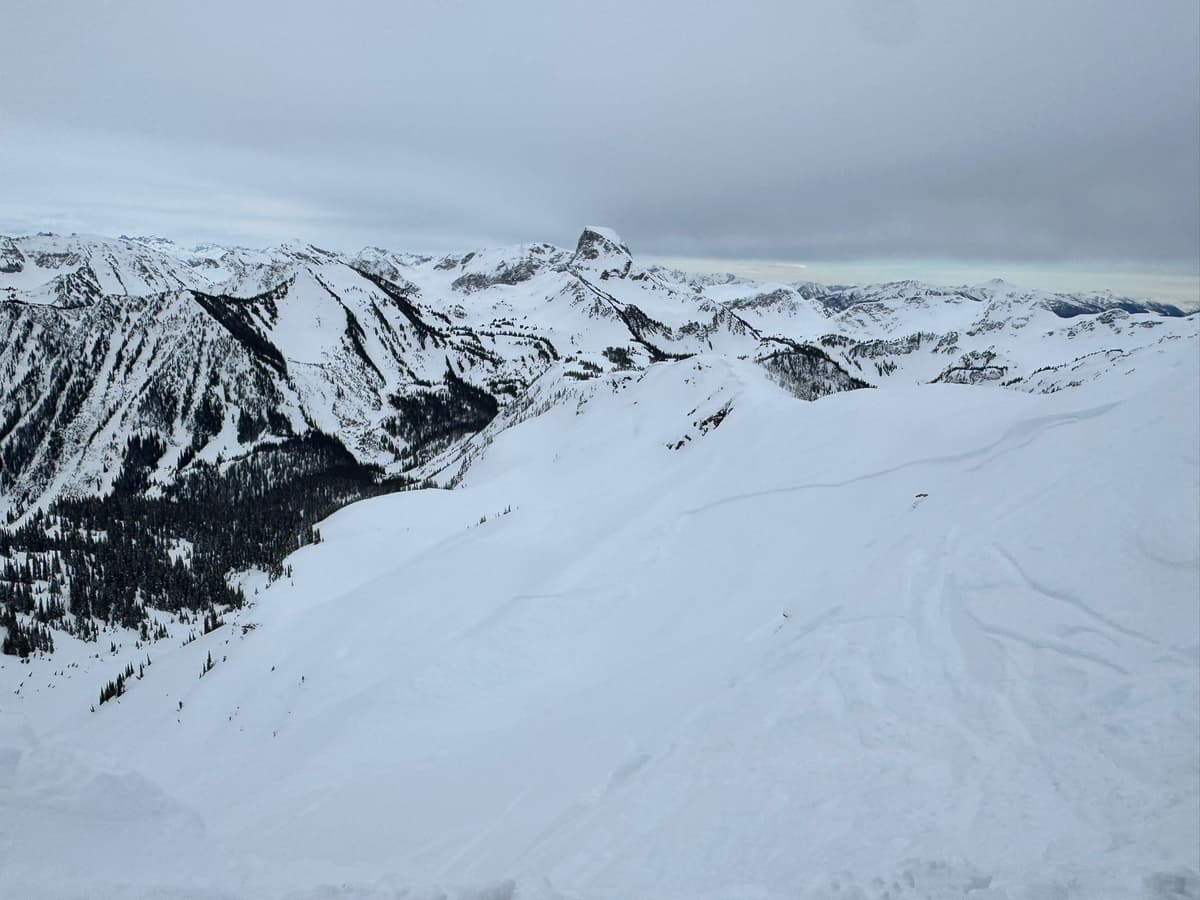 Avalanche taken the saddle N of Kokanee Peak; facing into Radar Bowl.  The W side of the avalanche path is occluded by the ridge.