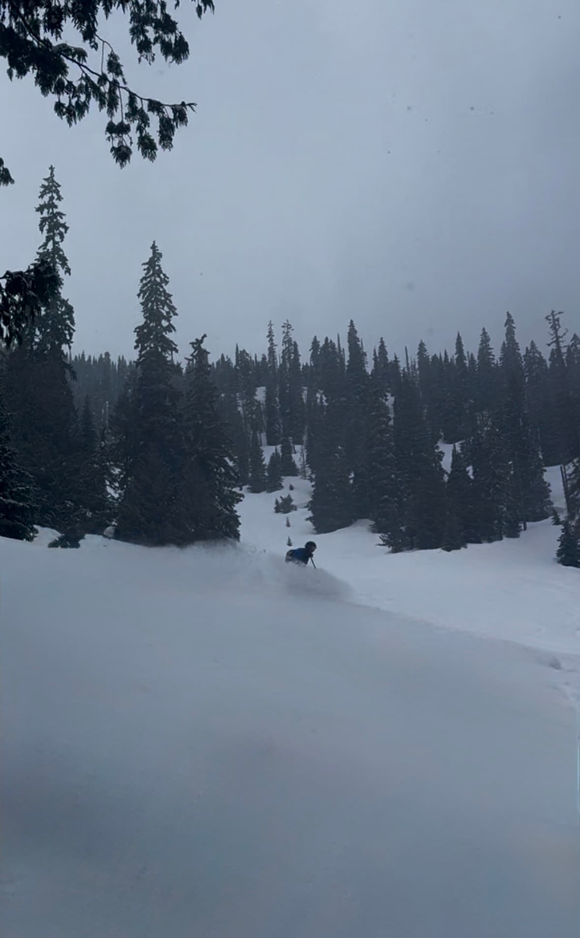 Great powder skiing down to ~1400m. 
