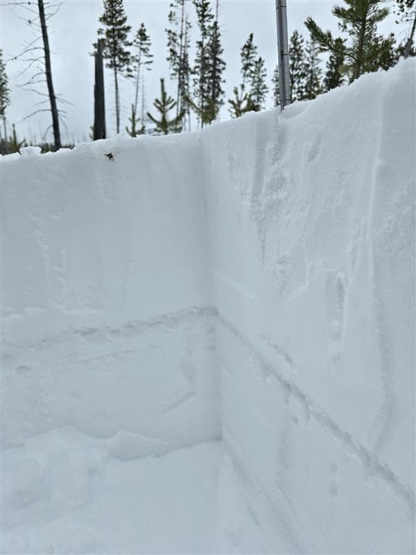 The PWL is down 30-60 cm and easily identifiable in snow profiles.