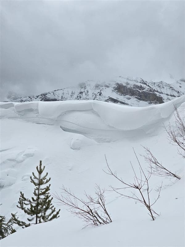 Strong winds last week have built some impressive new cornices in the area.