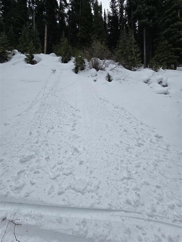 Pinwheeling and snowballing on the moist snow surface.
