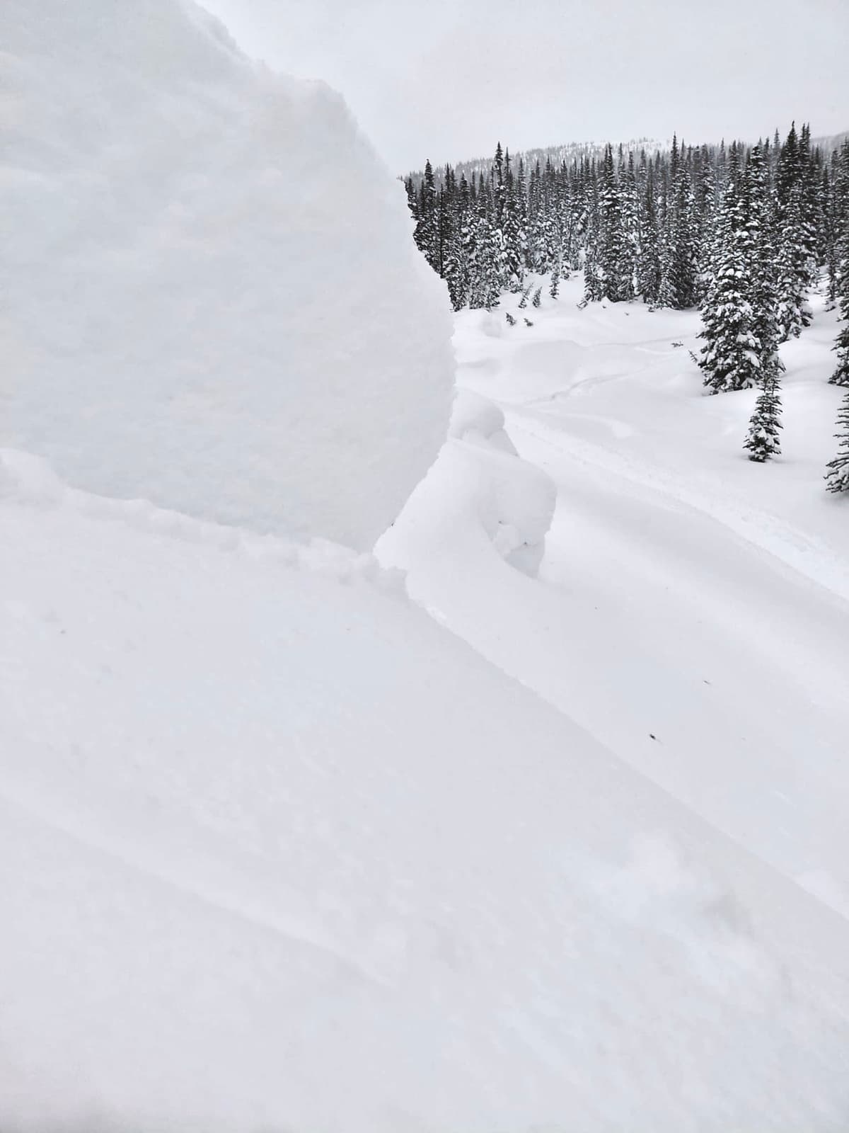 Wind slabs were 25 to 50 cm thick. 
