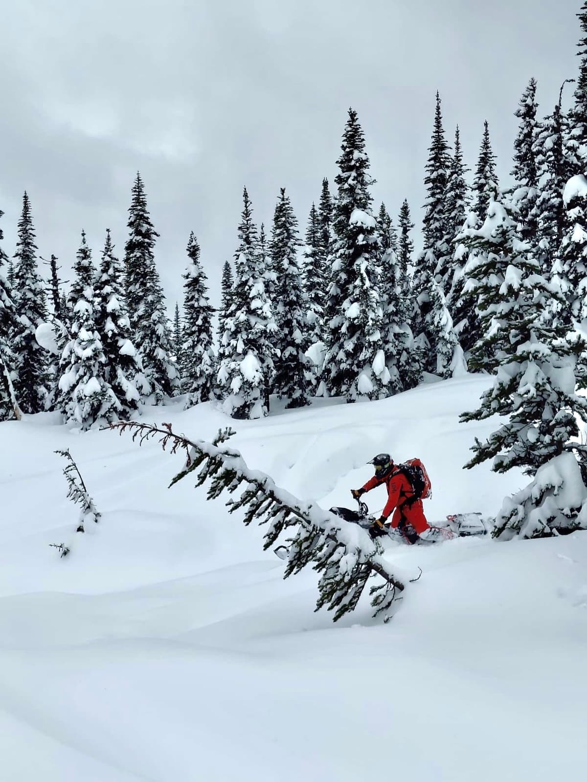 The best riding was away from the wind and the hazard in sheltered gullies, meadows, and creeks.
