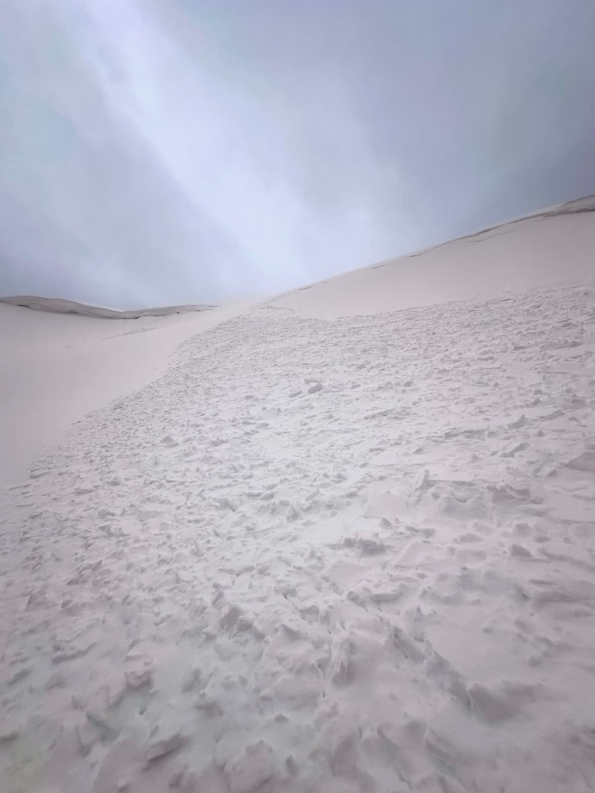 Two size 1 wind slab avalanches in the Pine Bowl. 