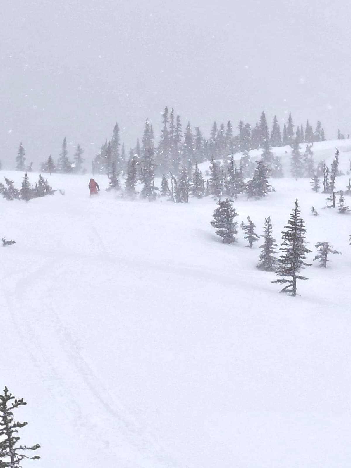 Winds were howling along exposed ridgelines. 