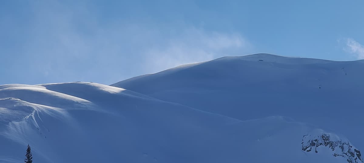 light to moderate wind transport on ridges  and open slopes
