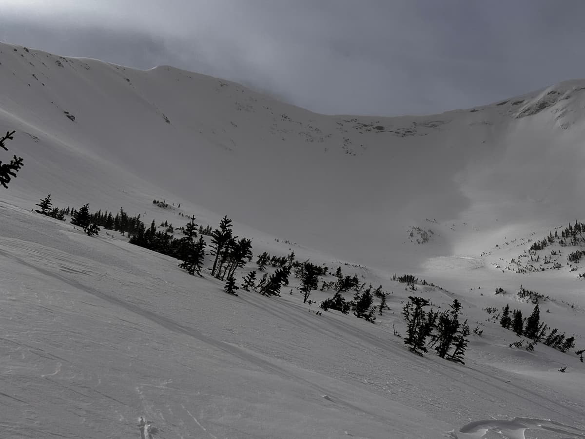 Avalanche debris from wind slabs