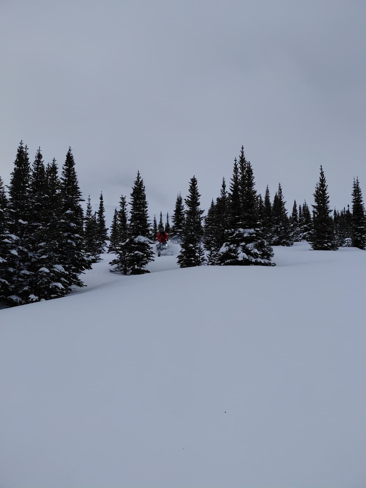 Pockets of soft snow in the trees