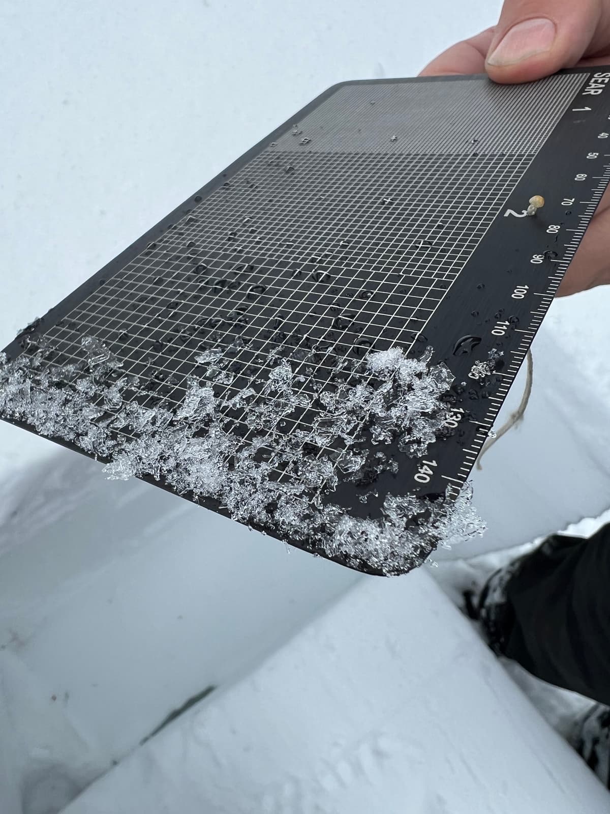 Surface Hoar