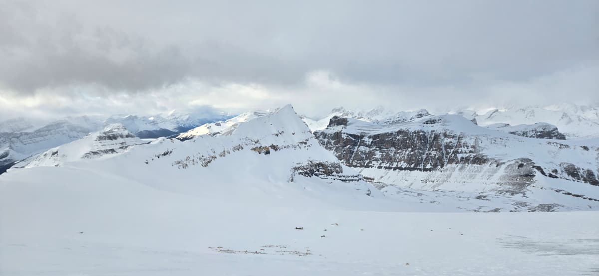 View of the glacier