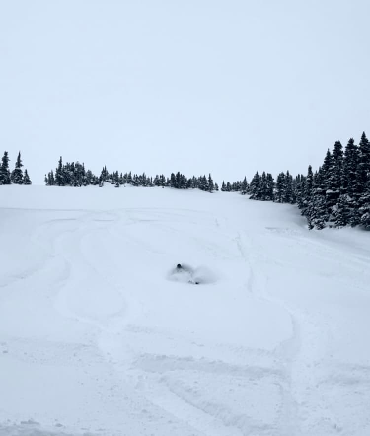 Deep powder.