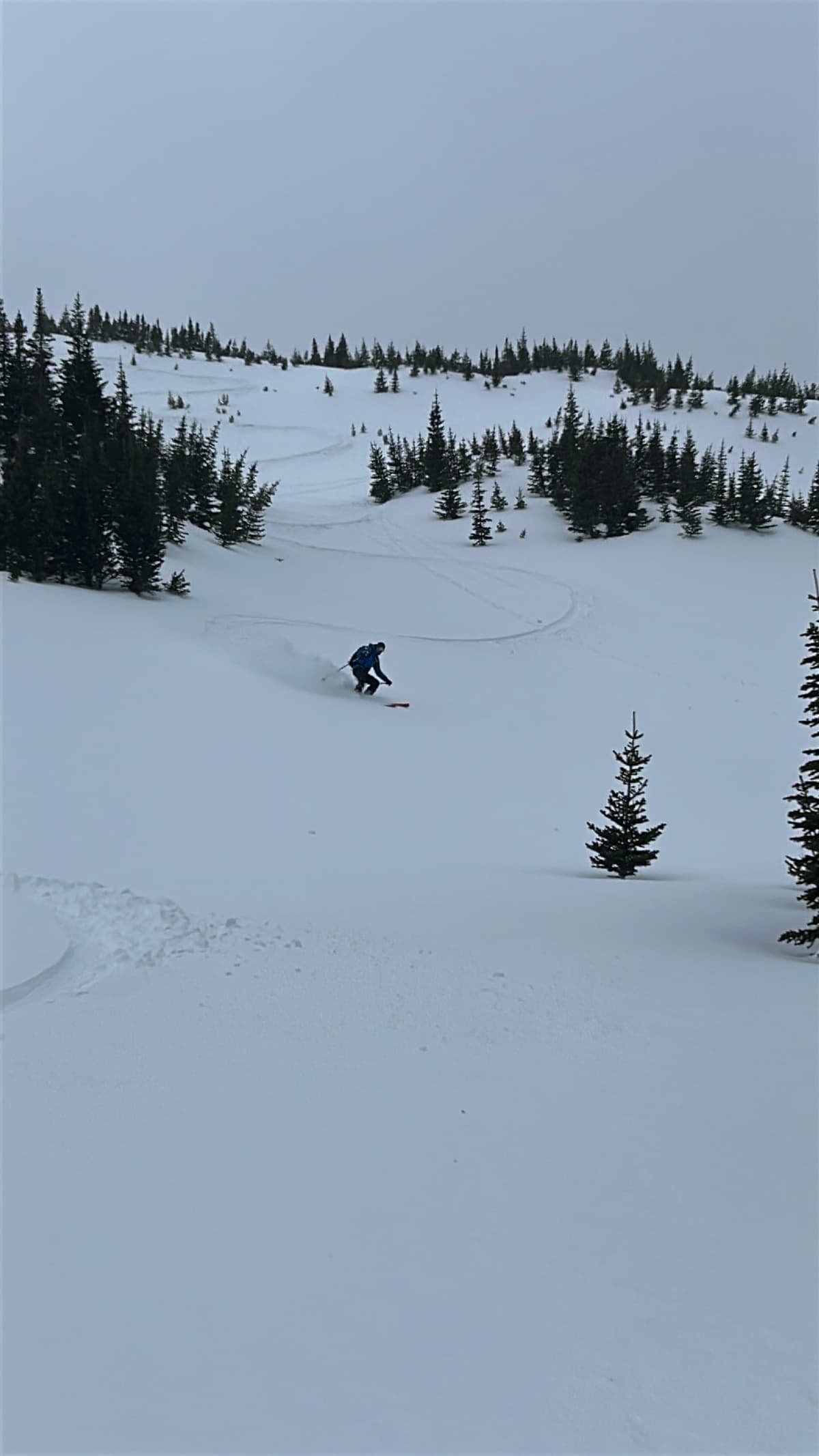 Some decent snow was found but wind affected at TL