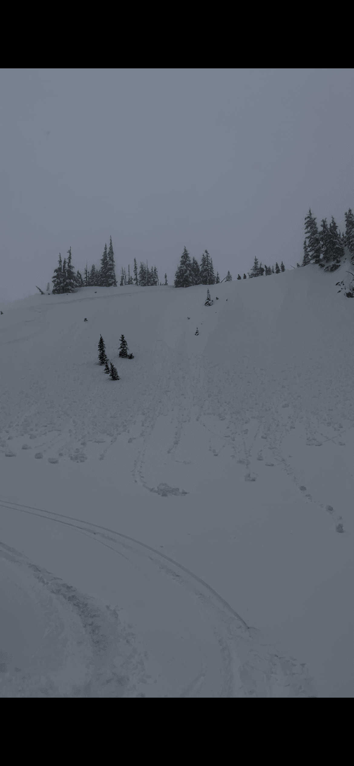 Wet loose observed below Zoa peak. NE aspect, ~1780m