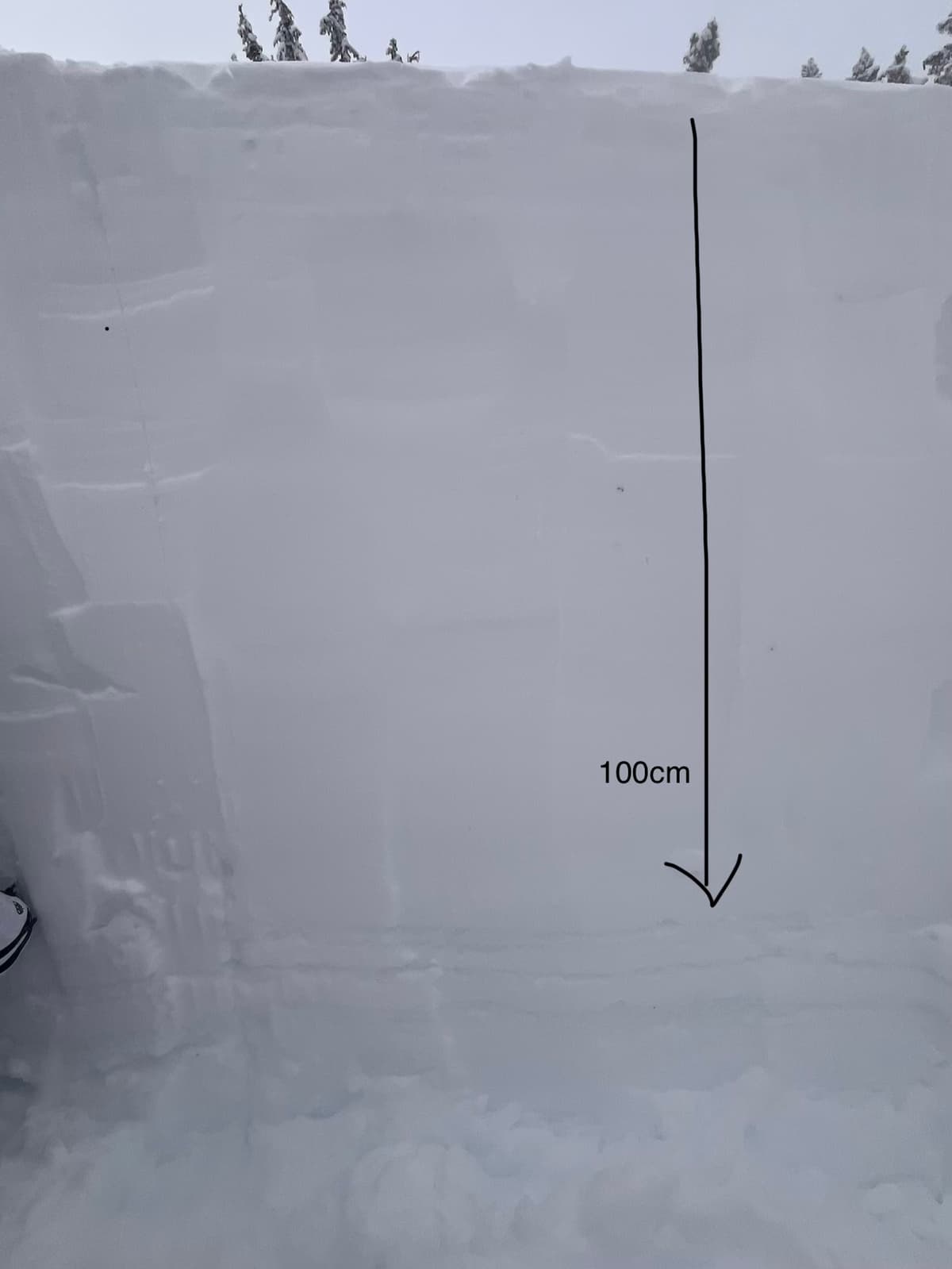 Test pit at 1840m on Zoa Peak. Jan crust/facet layer down 100cm