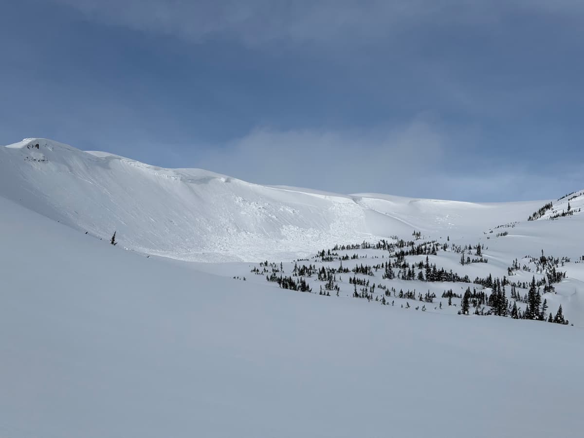 Avalanche above standard route to alpine. 