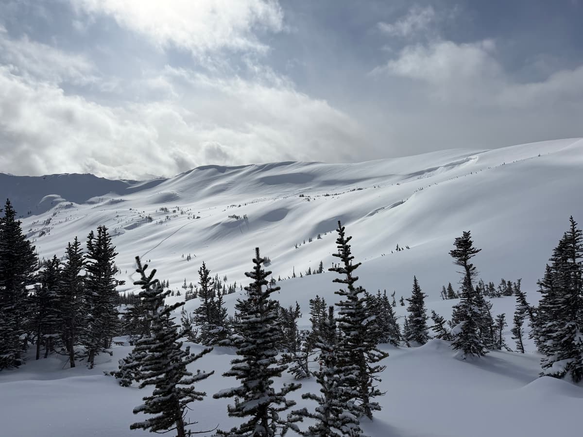 Nice conditions, even in the alpine!