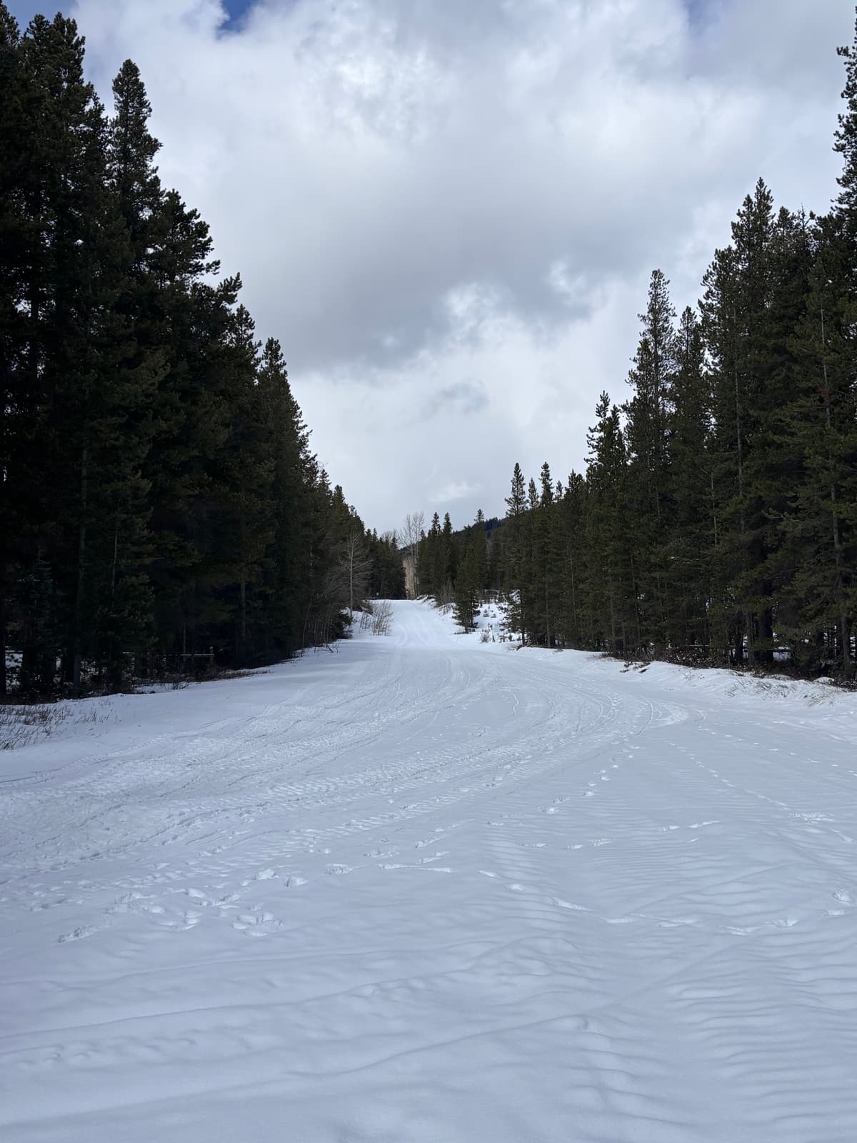 Just enough snow/crust to sled 