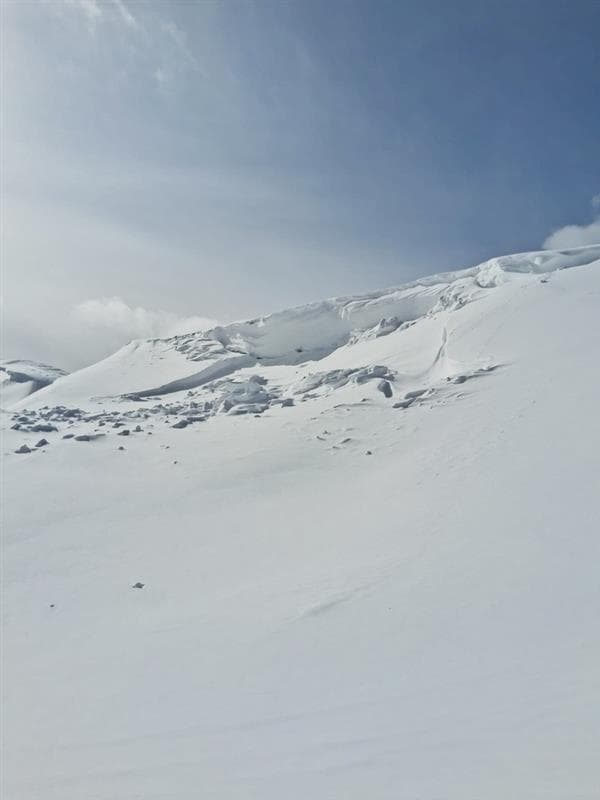 An older cornice failure that stepped down to failure on the facet/crust layer