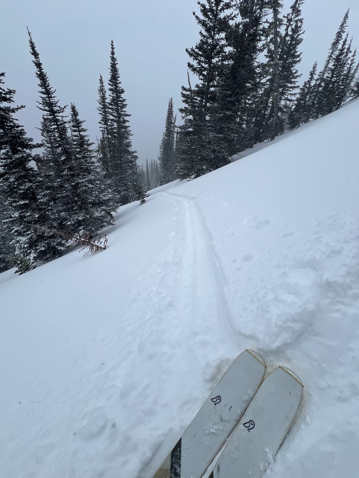 Decent skinning conditions, not too slippery underneath