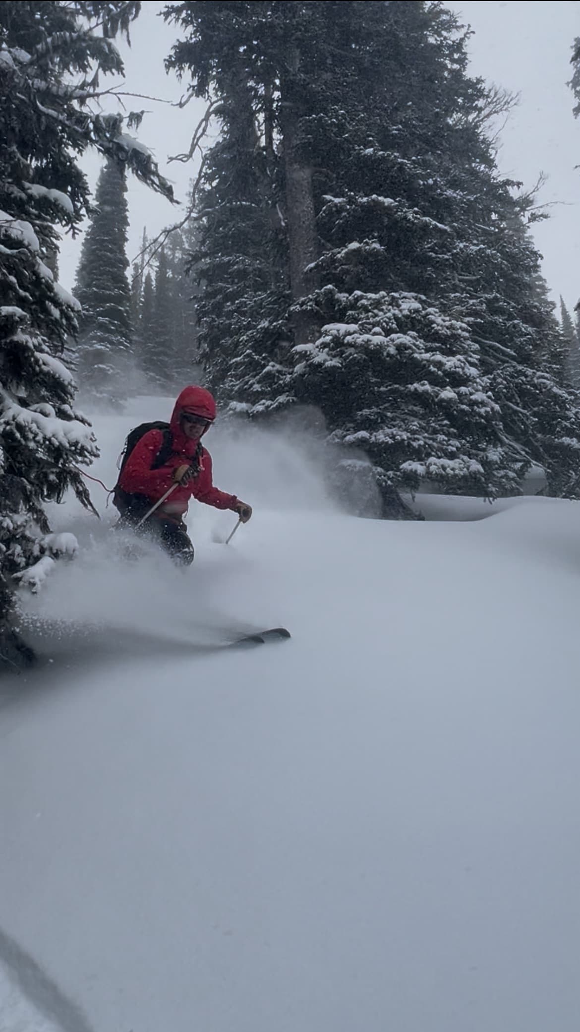 Some fun turns in low angle terrain!