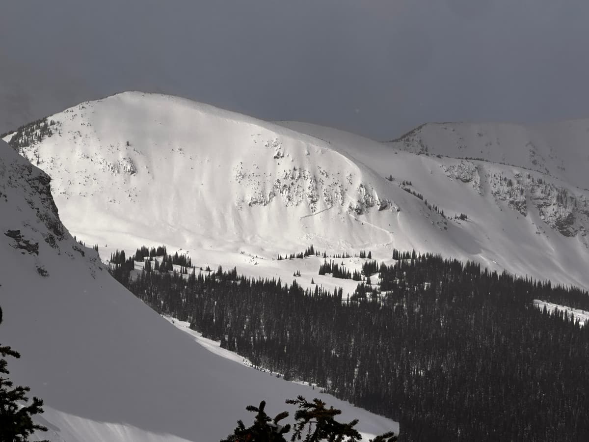 Old avalanche from last weekend.