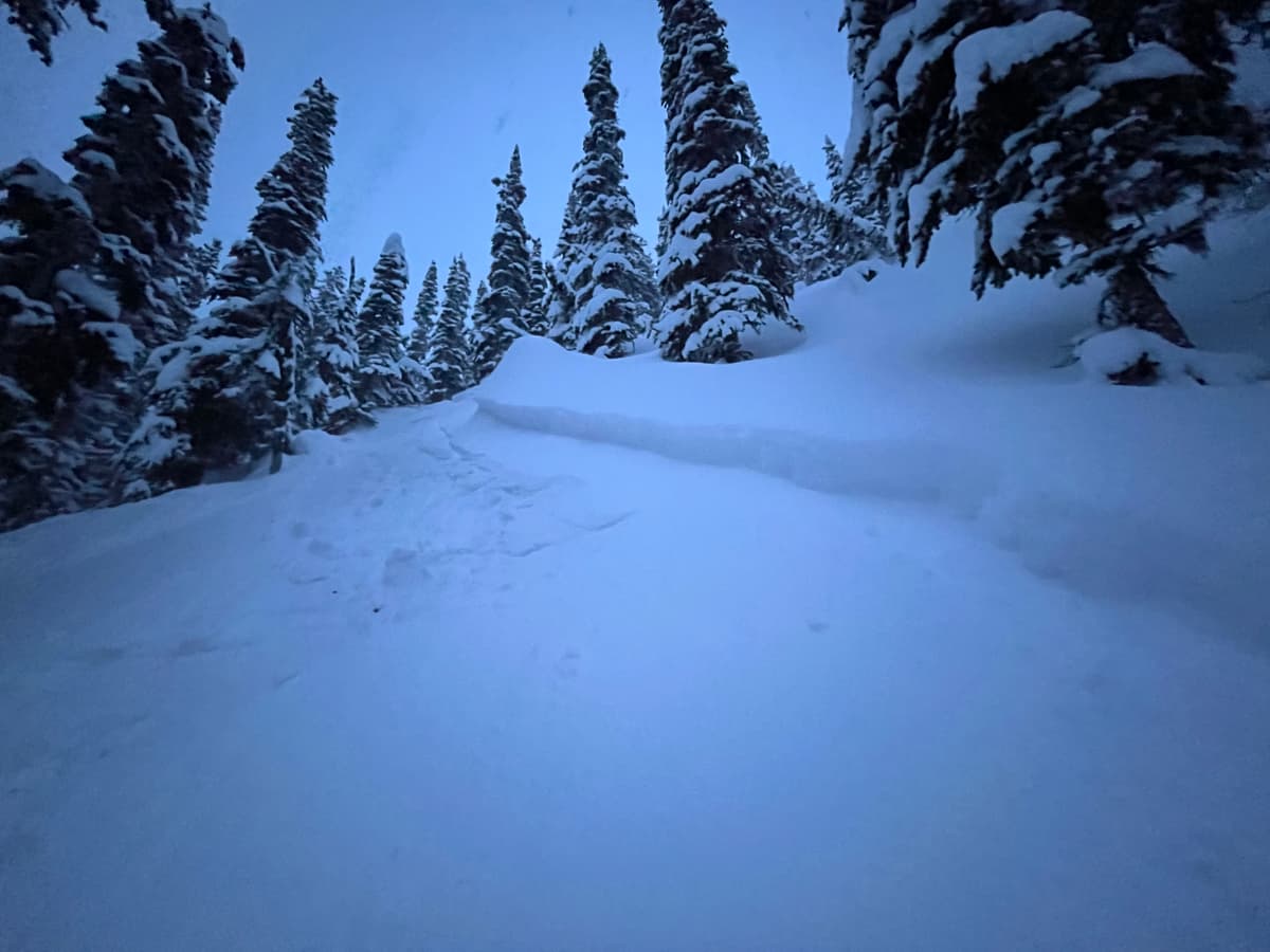 Small soft storm slab. 20cm max crown height, N asp, 2000m, 35-40 degree terrain.