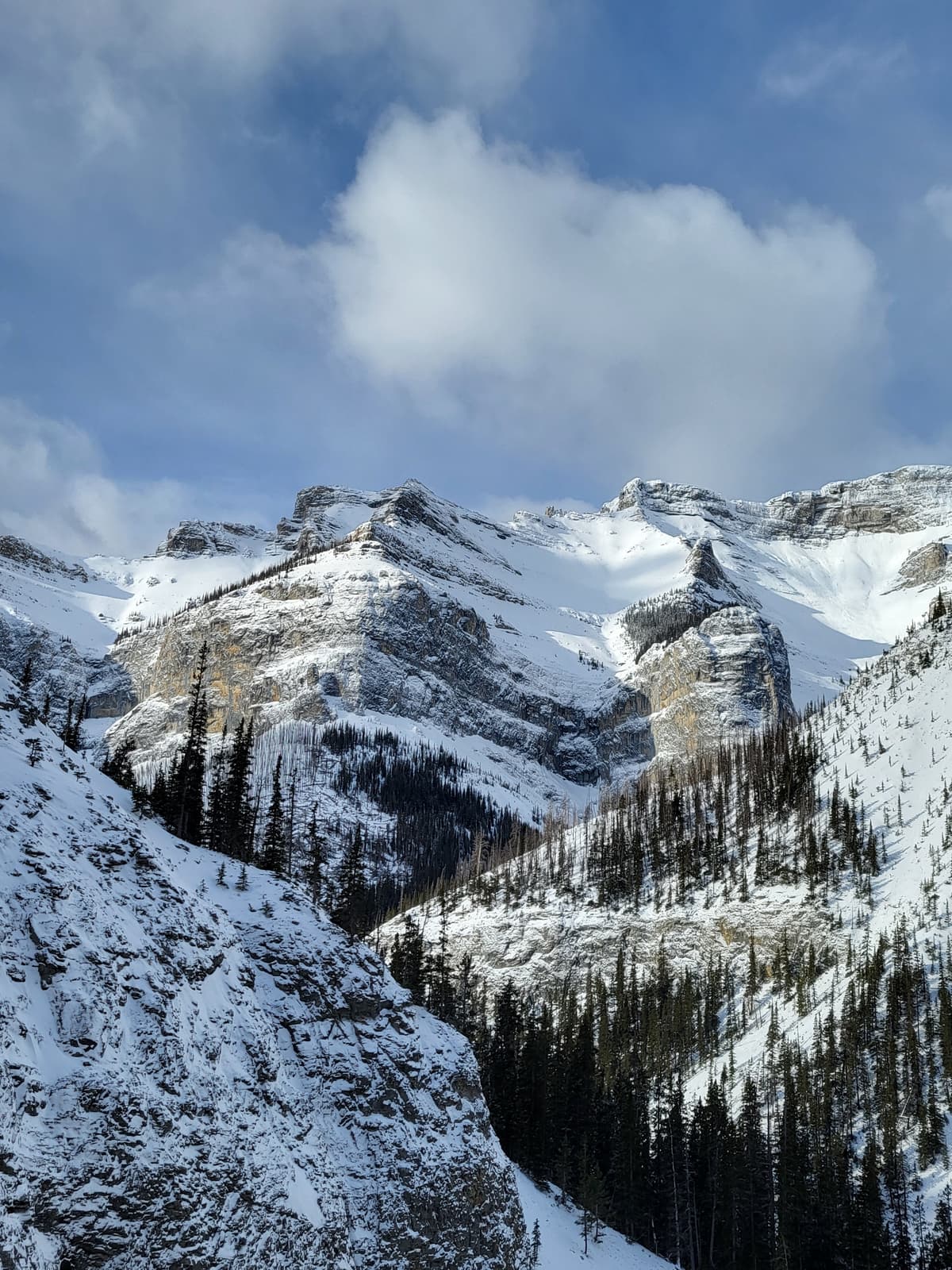 Lots of snow on E aspects, cornices, wind loading all day.