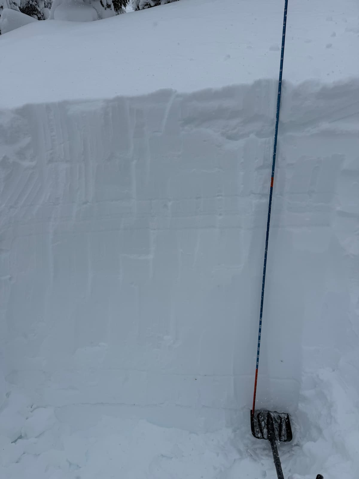 January crust down 200cm